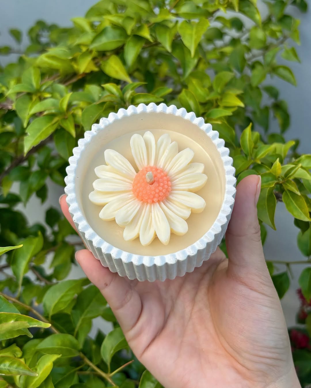 Scented Desi Candles